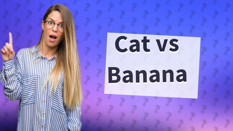 Cat vs Banana