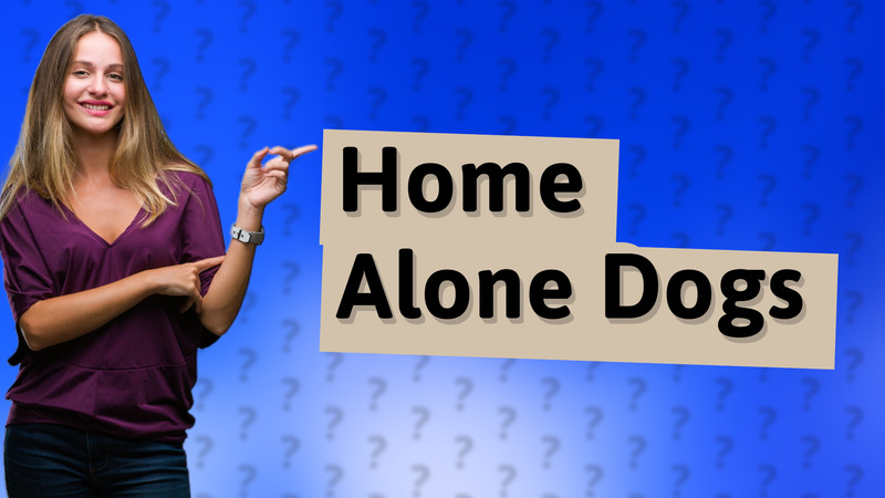 Home Alone Dogs