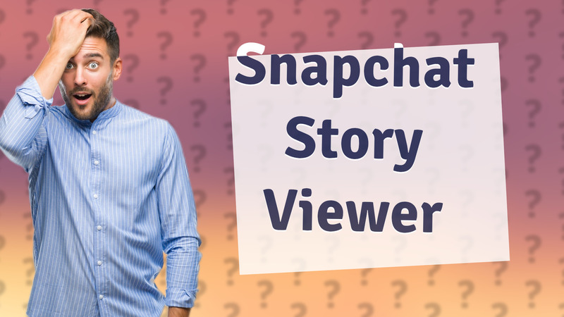 Snapchat Story Viewer