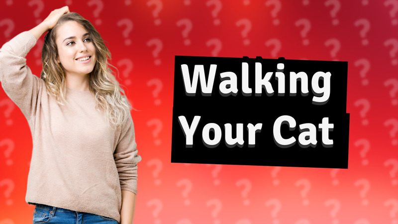 Walking Your Cat
