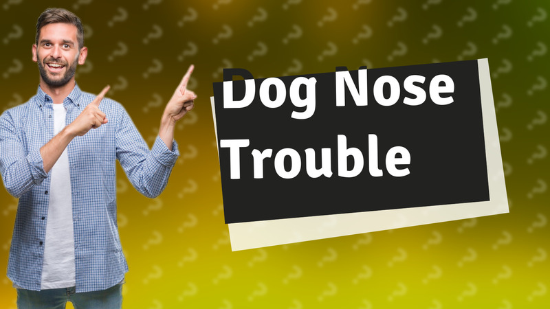 Dog Nose Trouble