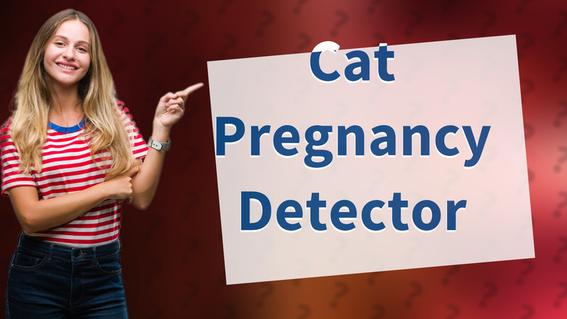 Cat Pregnancy Detector