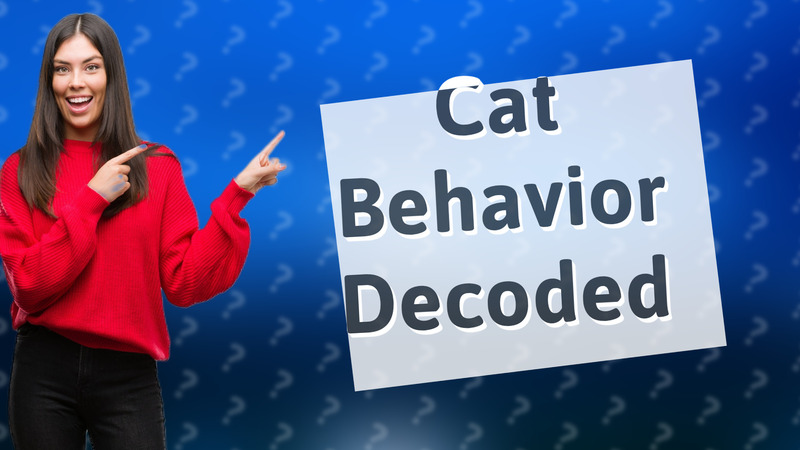Cat Behavior Decoded