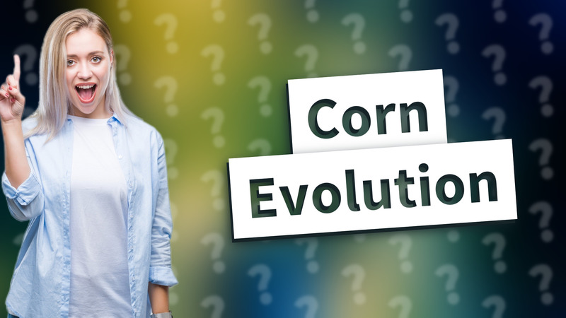 Corn Evolution
