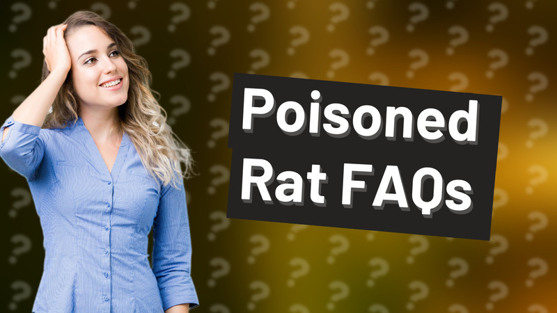 Poisoned Rat FAQs