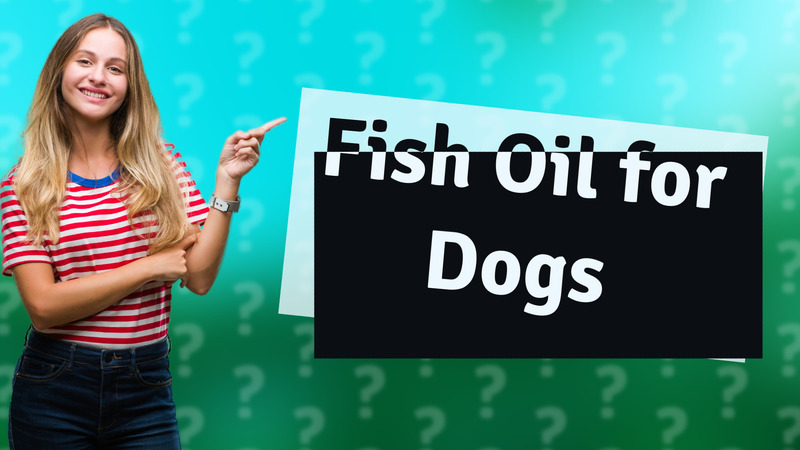 Fish Oil for Dogs
