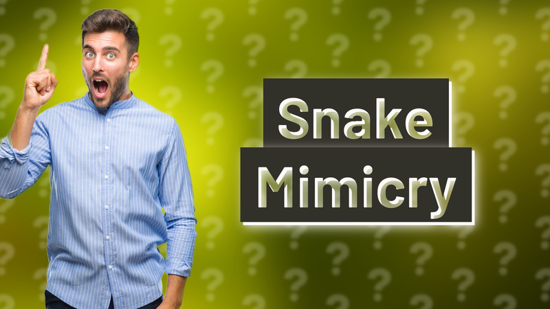 Snake Mimicry