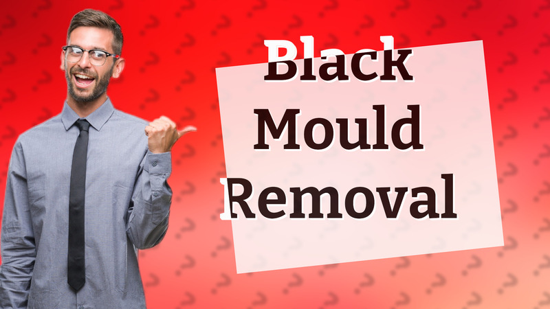 Black Mould Removal