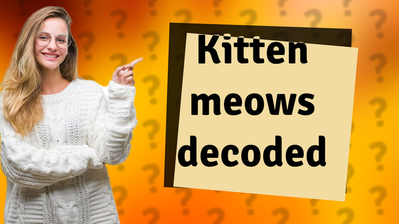 Kitten meows decoded