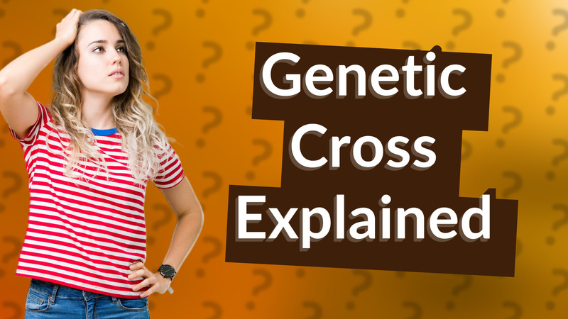 Genetic Cross Explained