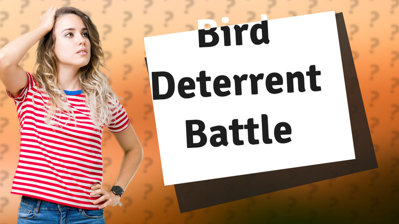 Bird Deterrent Battle