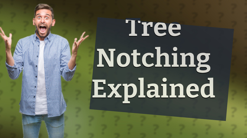 Tree Notching Explained