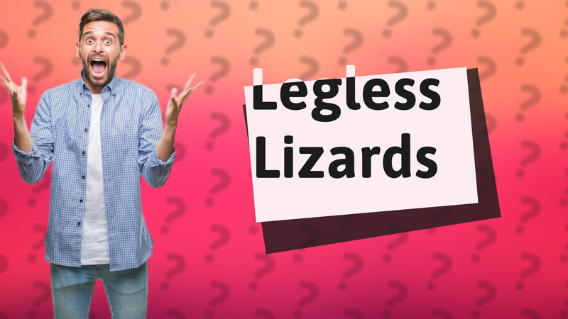 Legless Lizards