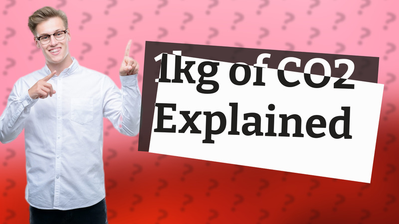 1kg of CO2 Explained