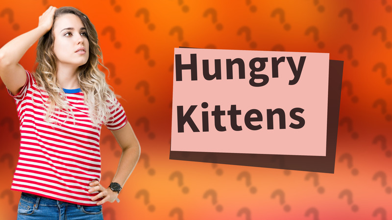 Hungry Kittens