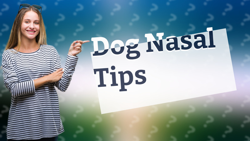 Dog Nasal Tips