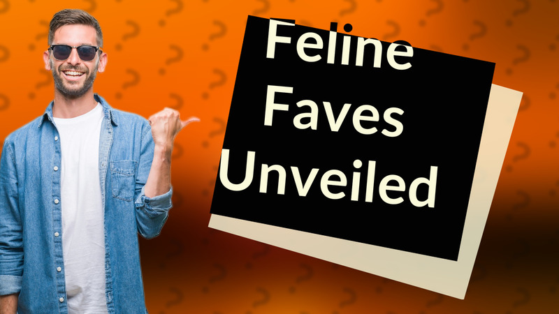 Feline Faves Unveiled