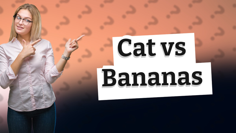 Cat vs Bananas