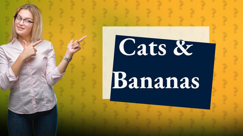 Cats & Bananas