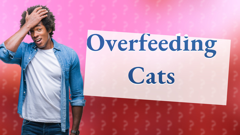 Overfeeding Cats