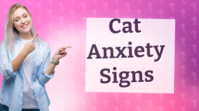 Cat Anxiety Signs