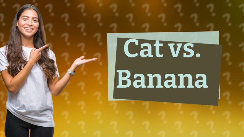 Cat vs. Banana