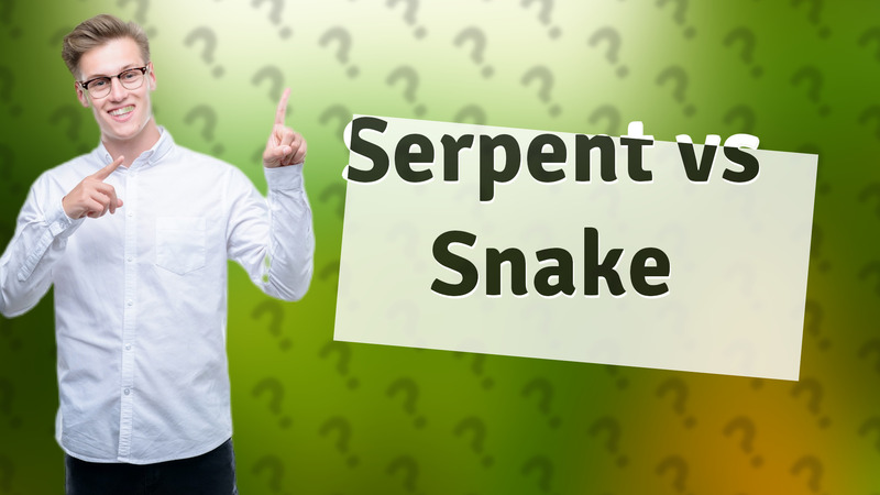 Serpent vs Snake