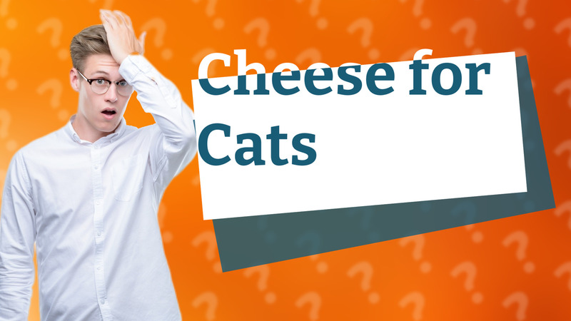 Cheese for Cats