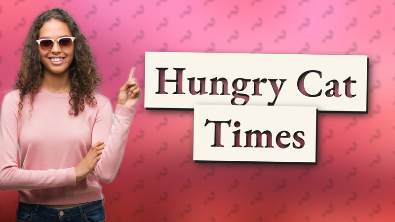 Hungry Cat Times