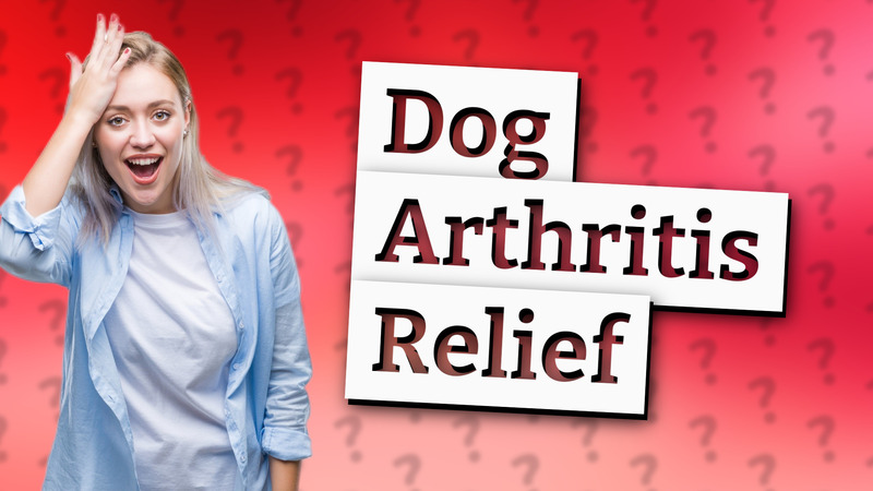 Dog Arthritis Relief
