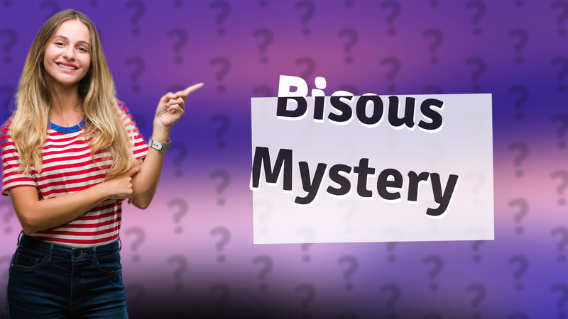 Bisous Mystery