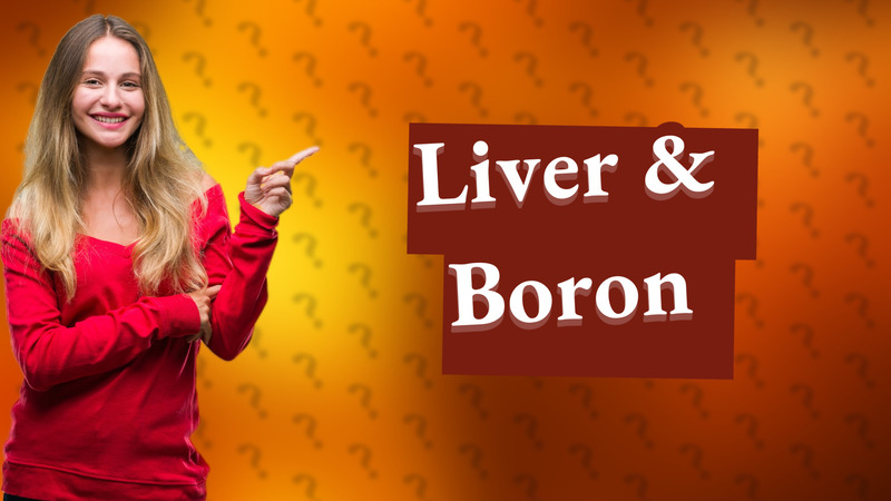 Liver & Boron