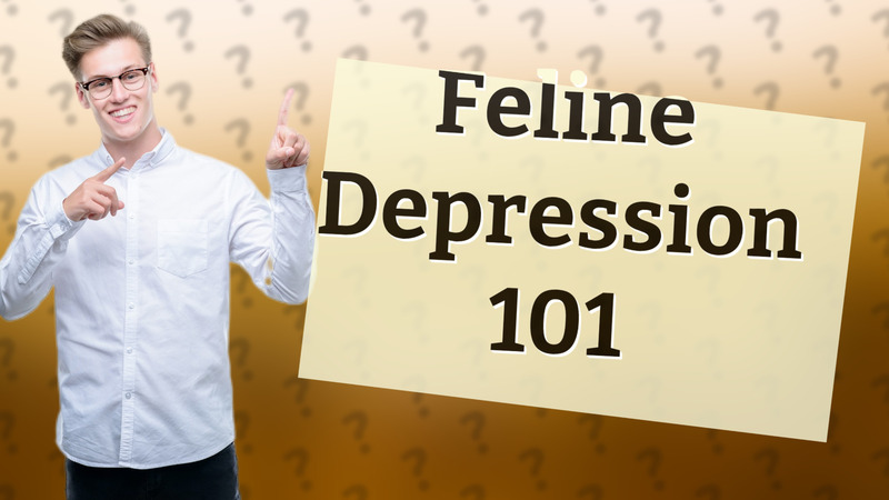Feline Depression 101