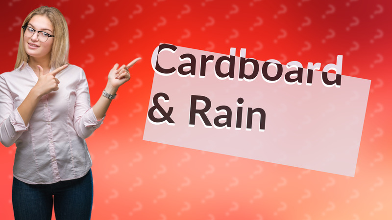 Cardboard & Rain