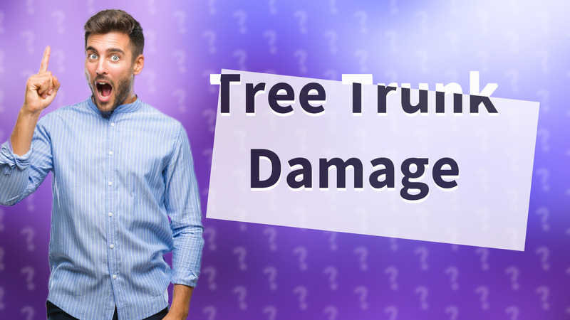 Tree Trunk Damage