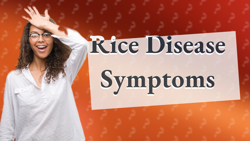 Rice Disease Symptoms