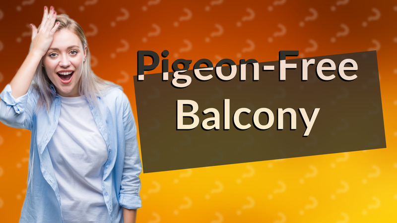 Pigeon-Free Balcony