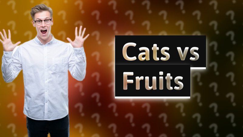 Cats vs Fruits