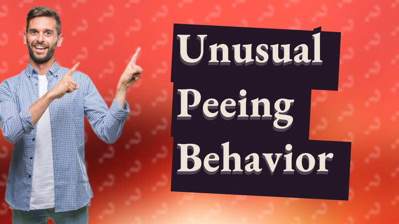 Unusual Peeing Behavior