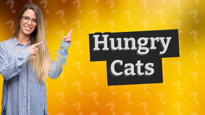 Hungry Cats