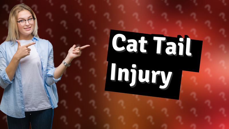 Cat Tail Injury