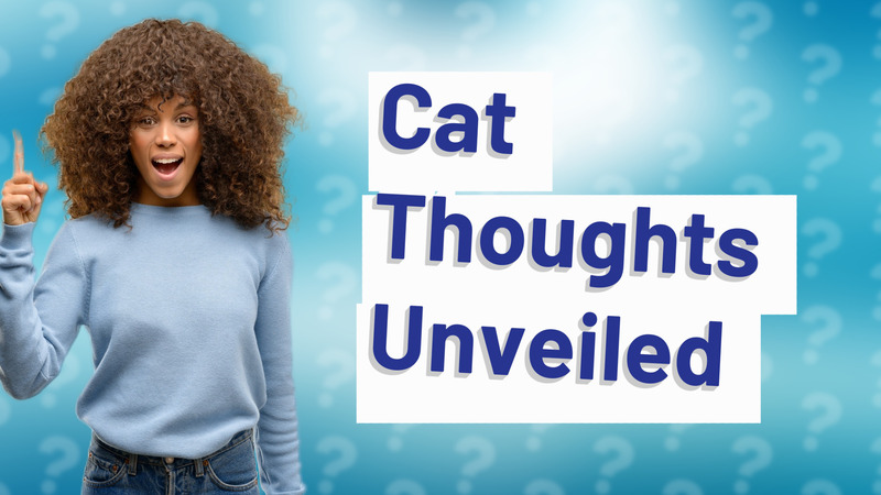 Cat Thoughts Unveiled