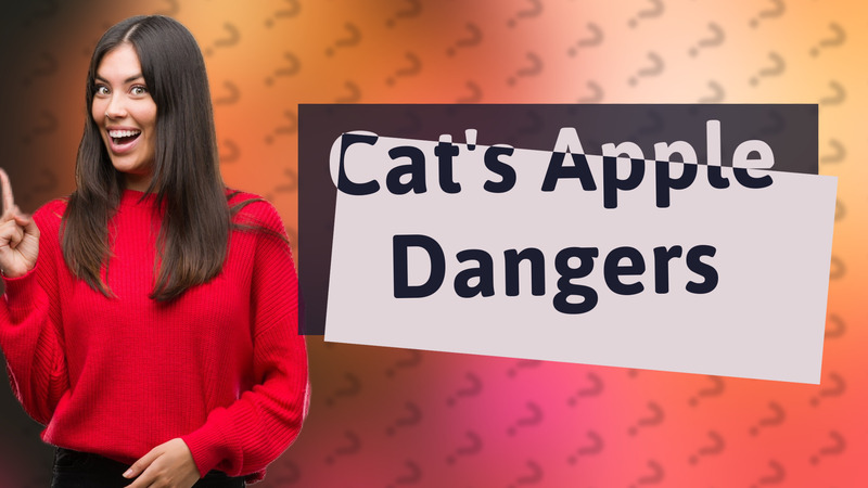 Cat's Apple Dangers