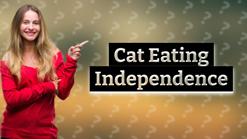 Cat Eating Independence