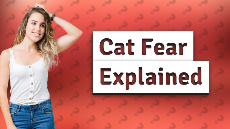 Cat Fear Explained