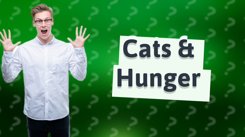 Cats & Hunger