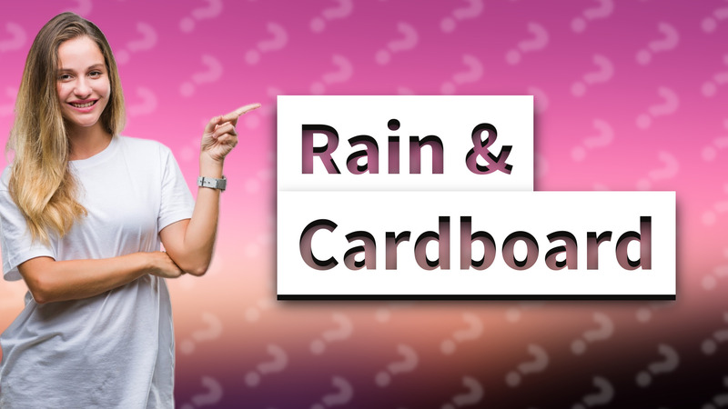 Rain & Cardboard