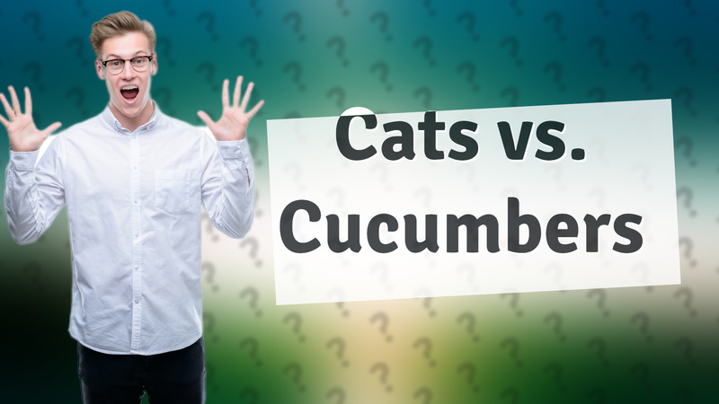 Cats vs. Cucumbers