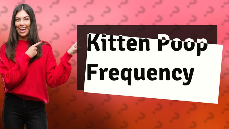 Kitten Poop Frequency