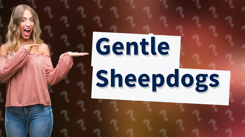 Gentle Sheepdogs